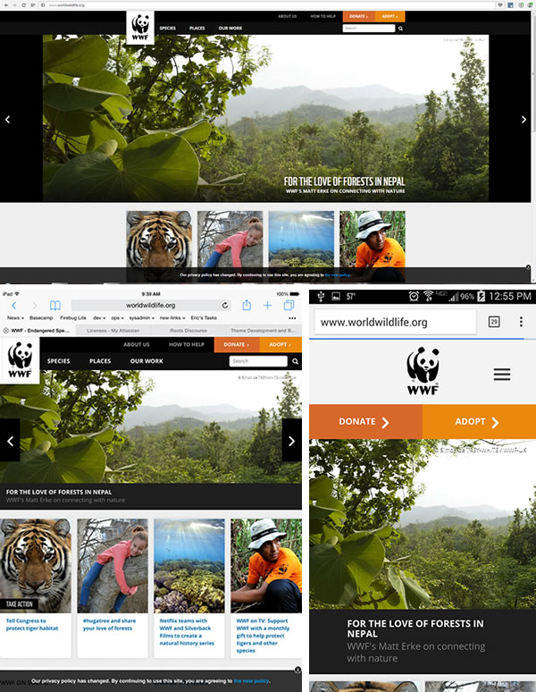 Responsive WWF Example